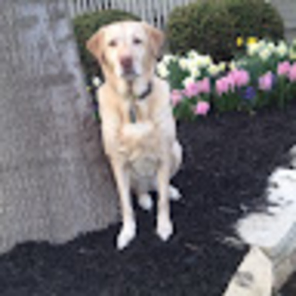 Meet your Posher, Millinda - Picture 1 of 1